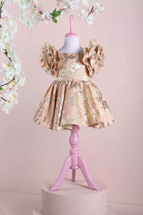 rosa-powder-party-dress-tha-dressing - Sophia's Style Baby & Toddler Dresses-1